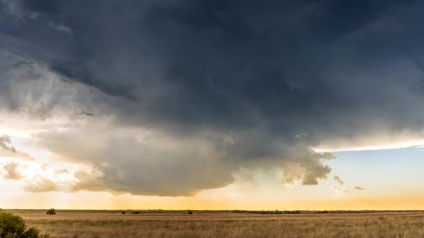 Grote Krachtige Tornadic Supercell Storm Great Plains Beweegt Tijdens Zonsondergang — Stockvideo