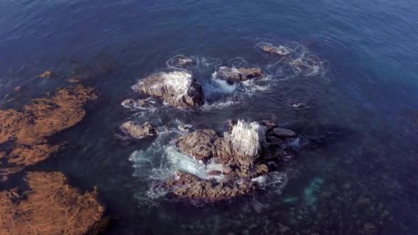 Seal Rocks Laguna Beach California One More Famous Locations Scuba — Stock Video