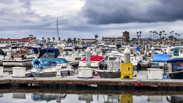 Μια Χρονική Διακοπή Των Σκαφών Στο Λιμάνι Huntington Καλιφόρνια Δείχνει — Αρχείο Βίντεο