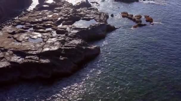 Берегова Лінія Лагуна Біч Каліфорнія Одним Найвідоміших Місць Підводного Плавання — стокове відео