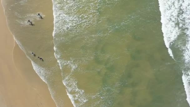 Video Droni Surfisti Che Camminano Sulle Rive Della Spiaggia Huntington — Video Stock