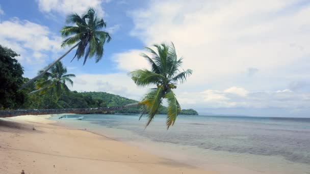 Palmy Wiejące Wietrze Wzdłuż Tropikalnej Plaży Fidżi Pokazują Piękny Relaks — Wideo stockowe