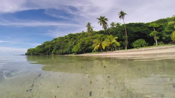 Тихая Теплая Вода Тропического Пляжа Юге Тихого Океана — стоковое видео