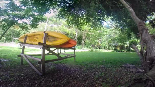Каяки Деревянной Вешалке Вдоль Тропического Пляжа Юге Тихого Океана — стоковое видео