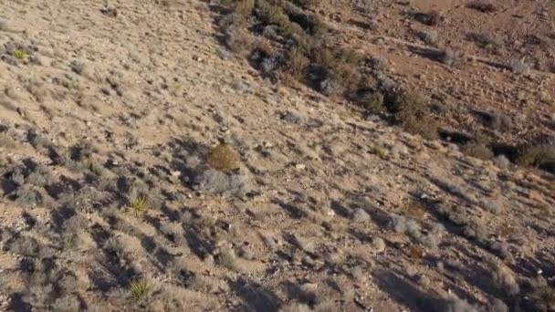 内华达州拉斯维加斯红岩峡谷荒原上的干旱 崎岖和山区冲刷的无人机画面 — 图库视频影像