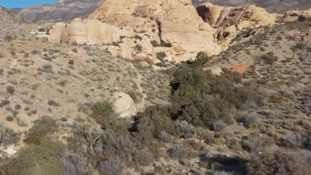 ネバダ州ラスベガスのレッドロックキャニオンの荒野で乾燥した険しい山のドローン映像 — ストック動画