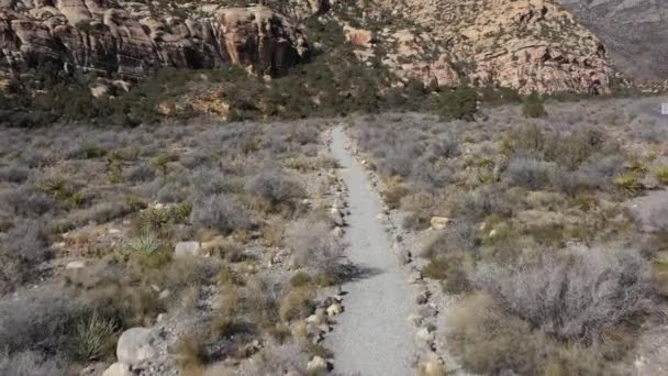 Drohnenaufnahmen Eines Wanderweges Die Zerklüftete Wildnis Des Red Rock Canyon — Stockvideo