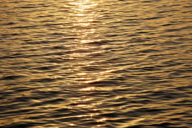 Kapalı deniz suyu yüzeyi akşam vakti altın güneş ışığını yansıtıyor.