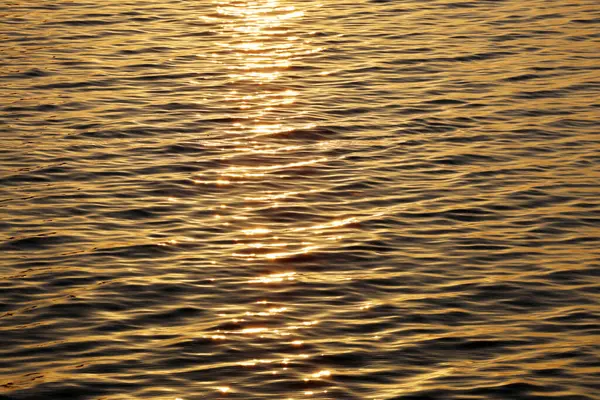 Kapalı deniz suyu yüzeyi akşam vakti altın güneş ışığını yansıtıyor.