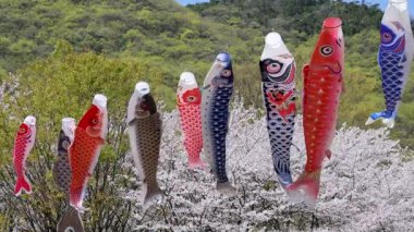 Koinobori Çocuk Günü 'nde Japon sazan balığı süslemesi. 