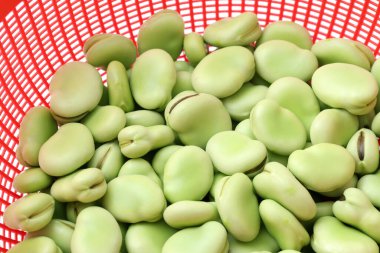 Beyaz arkaplanda bir sepet dolusu fasulye.  