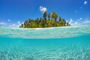  Güzel maldivler tropikal ada - Sualtı Panoraması