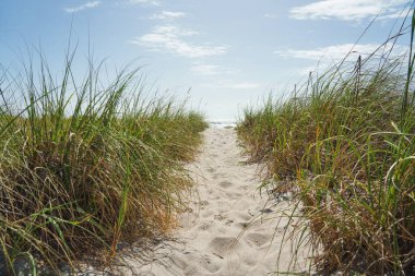 Florida 'daki Kakao Sahili' nin özlem dolu manzarası.