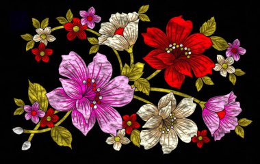 Siyah arka planda güzel çiçekler