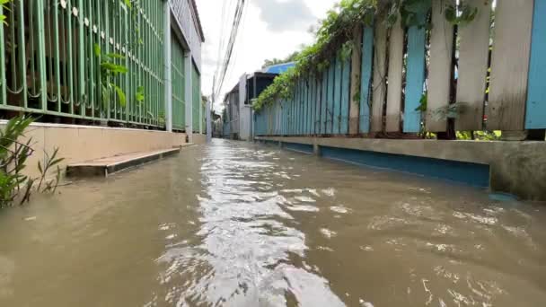 Woda Rzeczna Rośnie Wiosce Tajlandii — Wideo stockowe
