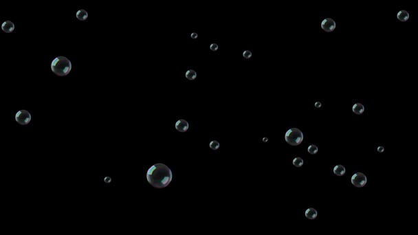 Waterbellen Zweven Lucht Tegen Zwart — Stockvideo