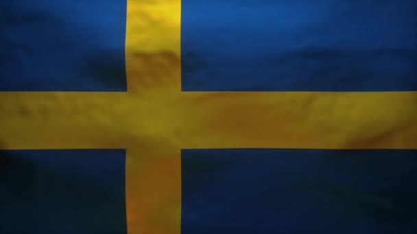 瑞典国旗被撕破 以揭示Coronavirus Covid19的精确模型 — 图库视频影像