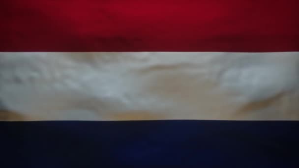 Netherlands Flag Being Ripped Reveal Blood Flow Infected Coronavirus Covid — Wideo stockowe