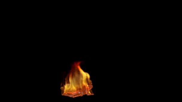 火焰中的士兵在痛苦的侧面爬行 阿尔法通道 — 图库视频影像