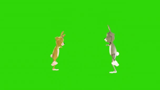 Easter Couple Rabbits Dancing Seamless Loop Green Screen Chromakey — Stock Video