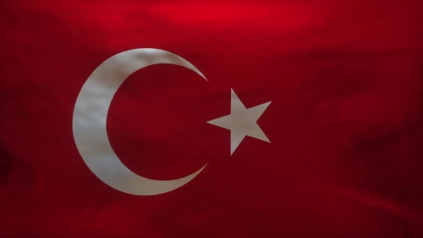土耳其国旗被撕破以揭示Coronavirus Covid 19的精确模型 — 图库视频影像