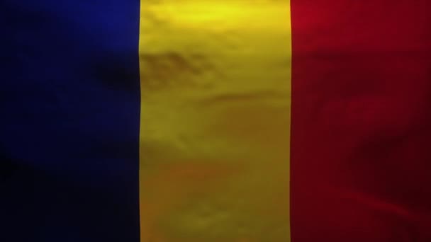 Flaga Rumunii Jest Rozerwana Aby Ujawnić Dokładny Model Coronavirus Covid19 — Wideo stockowe