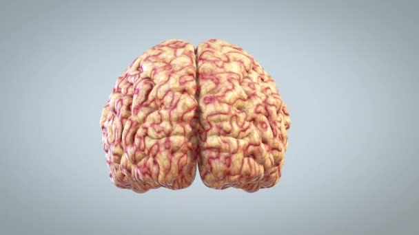 Cerveau Tournant Grand Concept Mental Boucle Luma Matte — Video