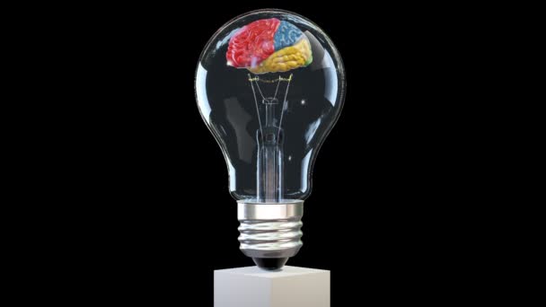 Рендеринг Мозга Вращающегося Внутри Лампочки Отличная Концепция Разума Петля Альфа — стоковое видео