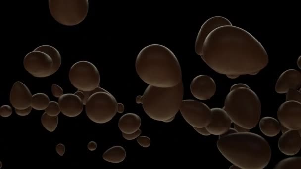 Chocolate Easter Eggs Flying Slow Motion Black — Stock Video