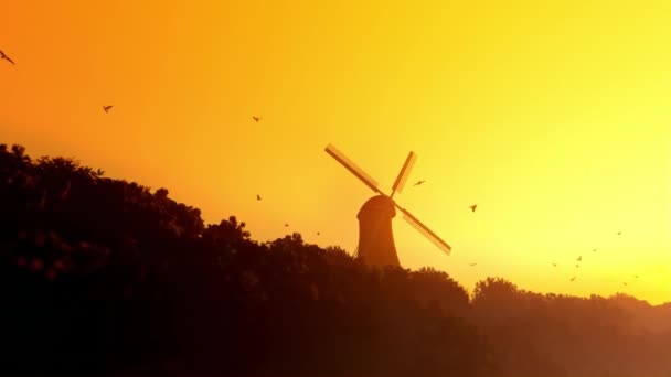 Gün Batımında Sarı Gökyüzünde Uçan Güvercinli Hollanda Yel Değirmeni — Stok video