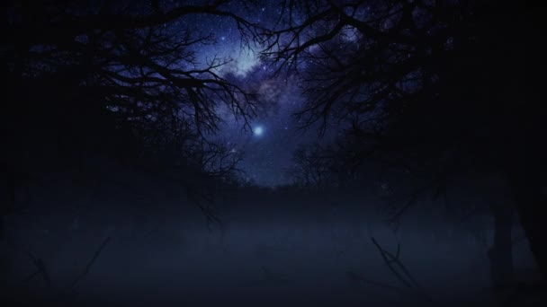 Kamera Fliegt Durch Dunklen Nebel Horrorwald Mit Platz Für Text — Stockvideo