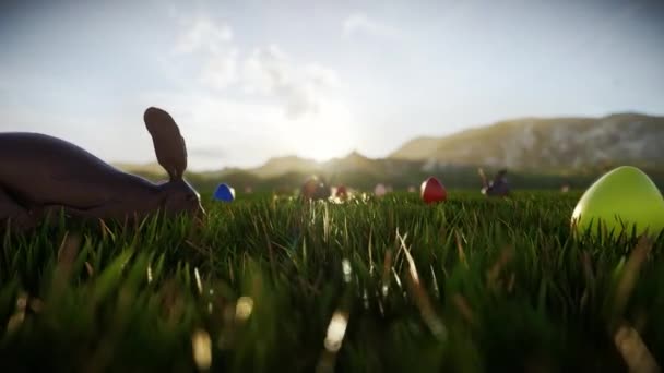 Шоколадний Кролик Великодні Яйця Розкидані Зеленому Лузі Сході Сонця — стокове відео