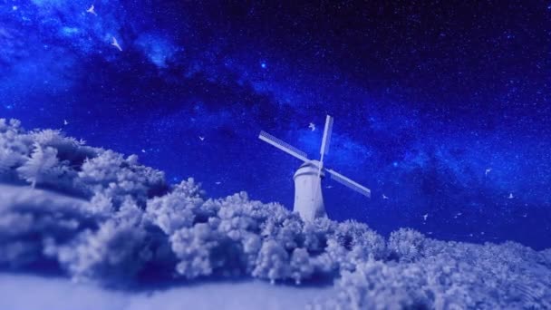 Nederländska Väderkvarn Med Duvor Som Flyger Mot Stjärnhimlen — Stockvideo