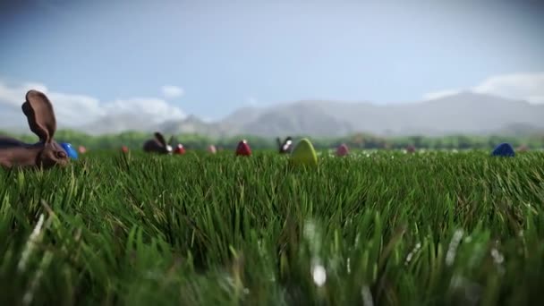 巧克力兔子和复活节彩蛋散落在一片绿色的草地上 — 图库视频影像