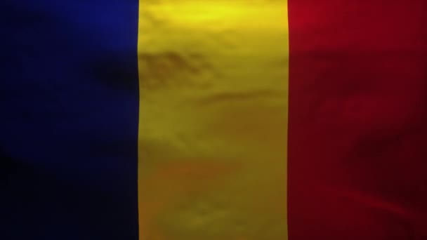 Σημαία Της Ρουμανίας Σκίστηκε Για Αποκαλύψει Ακριβές Μοντέλο Του Coronavirus — Αρχείο Βίντεο