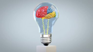 Renkli 3D beyin bir ampulün içinde dönüyor, büyük akıl kavramı, döngü