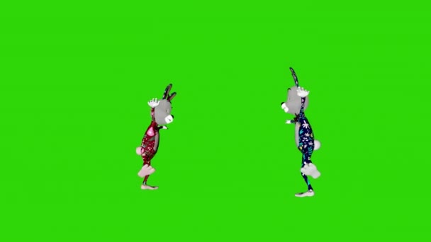 Великодня Пара Кроликів Танцює Цикл Зелений Екран Chromakey — стокове відео