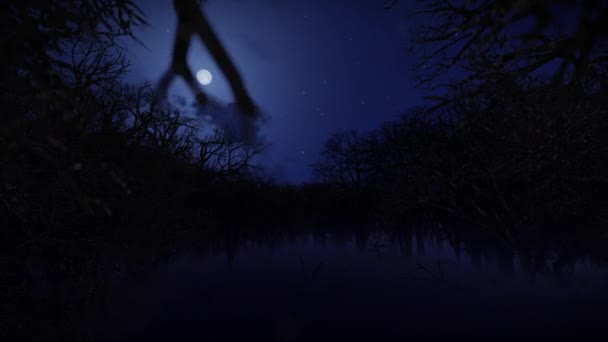 Karanlık Korku Ormanlarında Uçan Kamera Metin Veya Logo Için Boşluk — Stok video