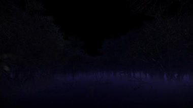 Karanlık korku ormanlarında uçan bir kamera. Metin ya da logo için boşluk var. Alfa Kanalı.