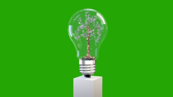 Дерево Поворачивающееся Внутри Лампочки Зеленая Энергия Безмордочка Зеленый Экран Chromakey — стоковое видео