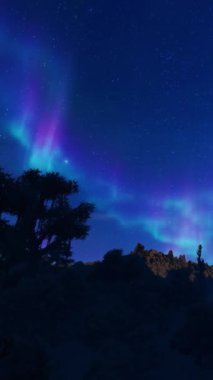 Yıldızlı gökyüzünde Aurora borealis, ağaç silikleriyle dağların tepelerinde uçmak, dikey video