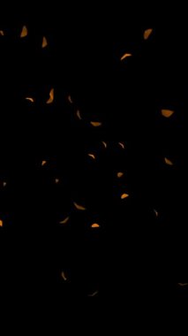 Autumn Leafs Flying, Alpha PNG, dikey video