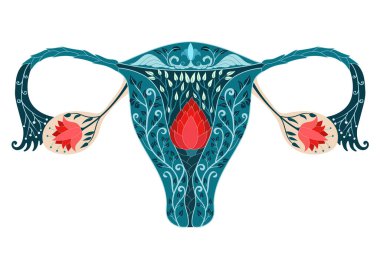 Güzel soyut rahim anatomisi kadın sağlık hizmetleri, adet döngüsü, hamilelik ve doğurganlık kavramı, çiçeklerle, yapraklarla ve süs eşyalarıyla süslenmiş.. 