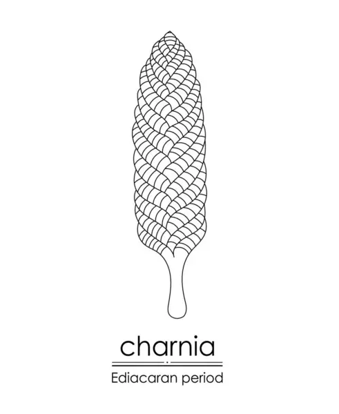 Charnia Eine Kreatur Aus Der Ediacara Zeit Schwarz Weiß Linienkunst — Stockvektor