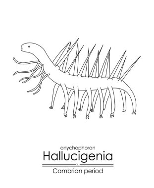 Halüsinasyon, Kambriyen dönemi yaratığı, siyah beyaz çizgili resim çizimi. Hem renklendirme hem de eğitim amaçlı ideal