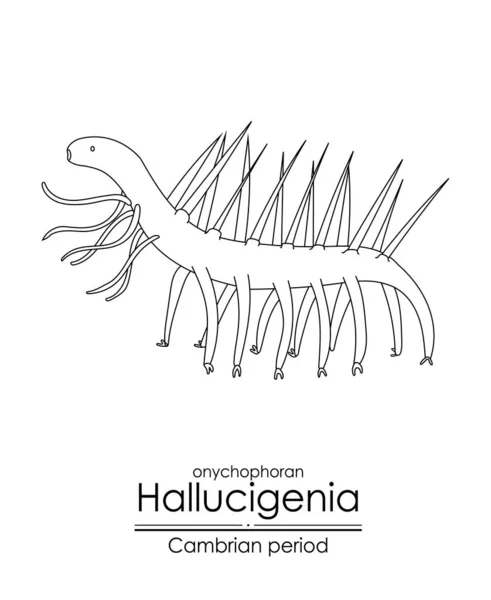 Hallucigenia Een Cambrische Periode Schepsel Zwart Wit Lijn Kunst Illustratie — Stockvector