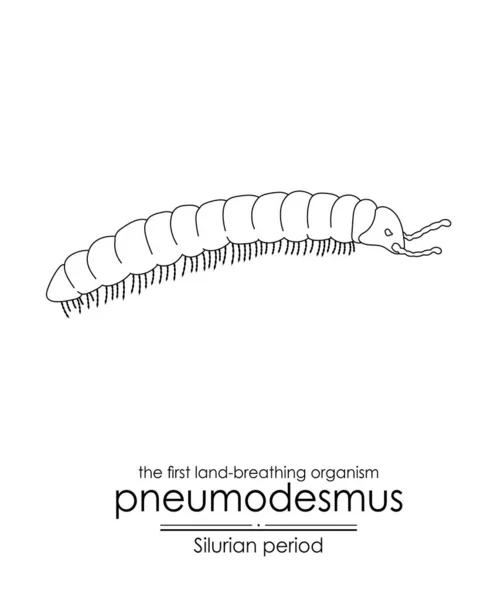 Pneumodesmus Het Eerste Landademende Organisme Uit Siluriaanse Periode Illustratie Van — Stockvector