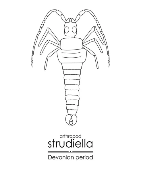 Strudiella Ein Gliederfüßer Aus Dem Devon Aber Möglicherweise Ein Insekt — Stockvektor