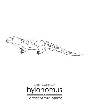 Hylonomus, şüphesiz en yaşlı sürüngen (kök tetrapod), Karbonifer Dönemi 'nden kalma, siyah-beyaz çizgili bir sanat resmidir. Renklendirme ve eğitim amaçlı ideal