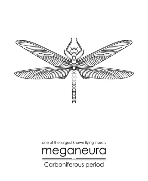 Meganeura Eines Der Größten Bekannten Fluginsekten Kreatur Aus Der Karbonzeit — Stockvektor